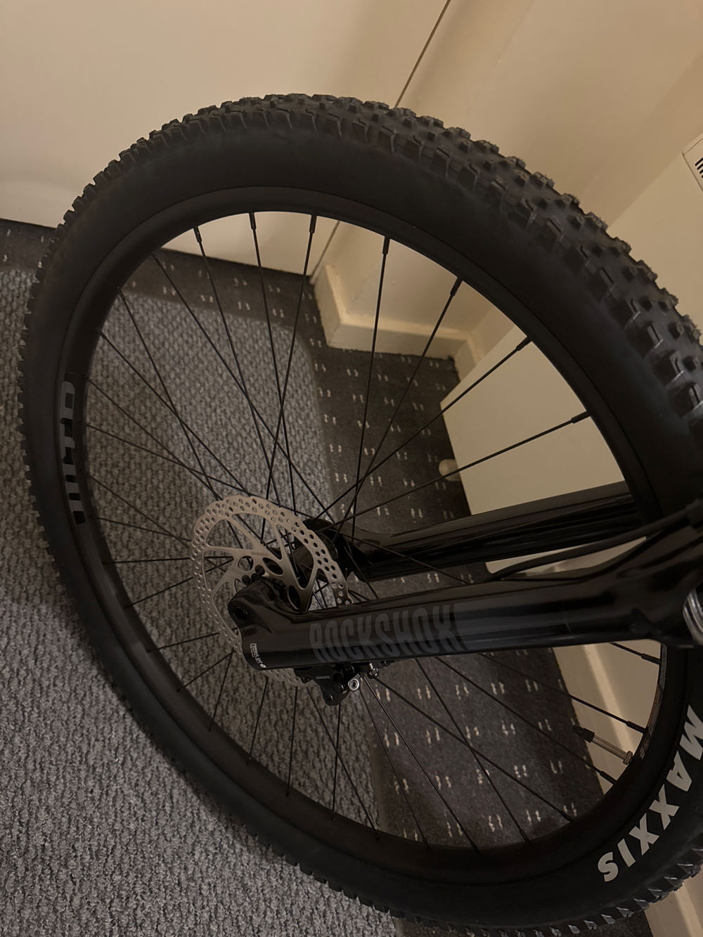 GT Zaskar LT Expert 2023
