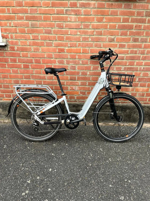 Rad Power RadCity 5 Plus Step-Thru 2021