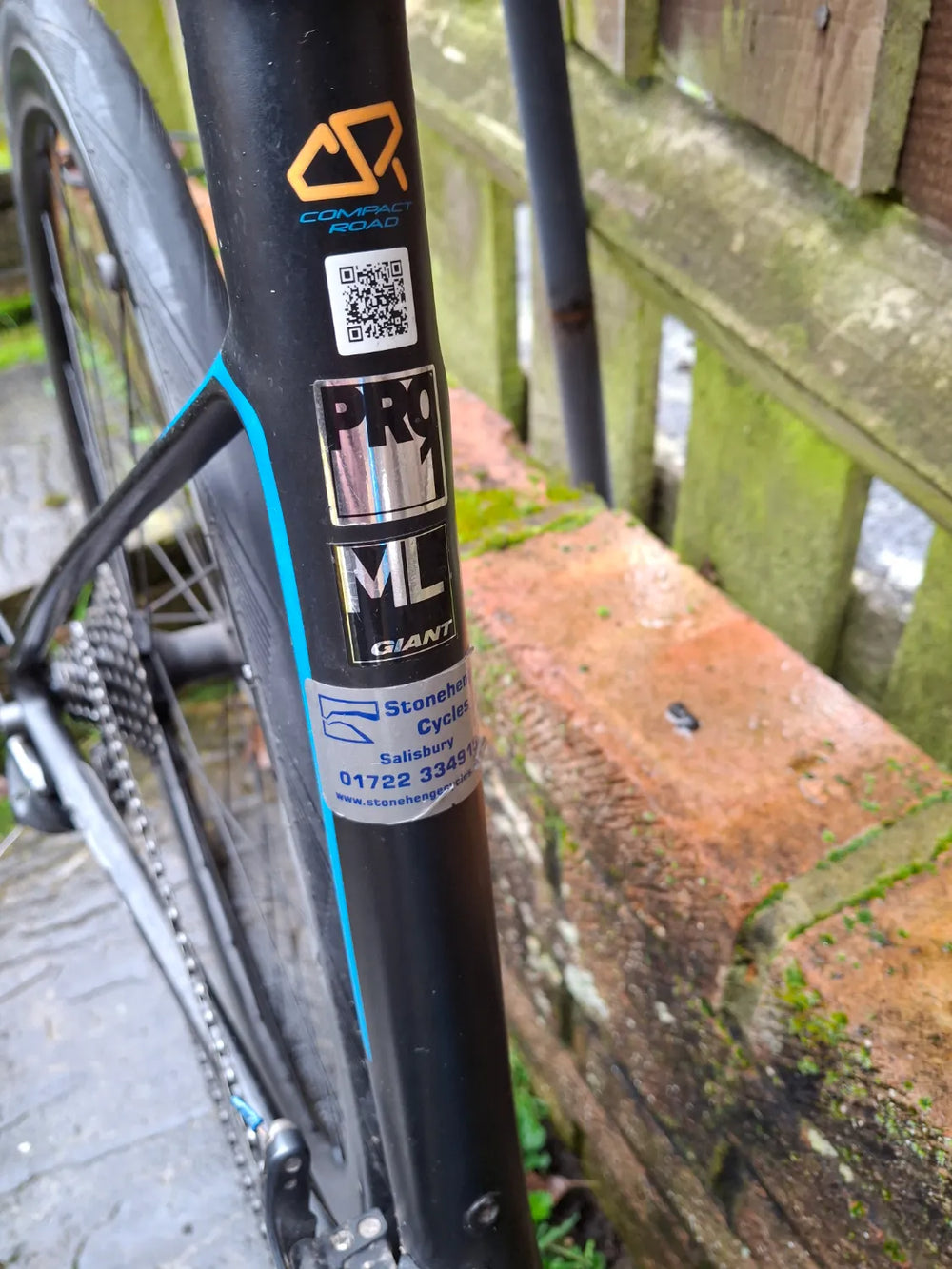 Giant Defy Advanced 1 2019