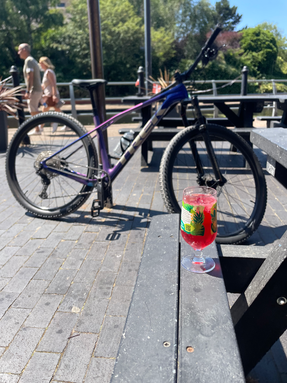 Trek Procaliber 9.5 2027