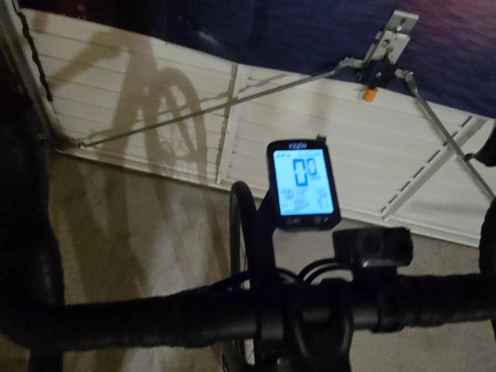 Trek Domane AL 2 Gen 4 2024