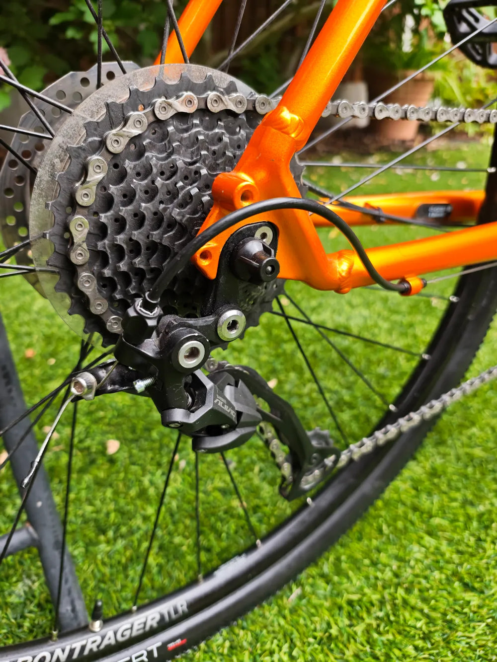 Trek Dual Sport 3 Disc 2021