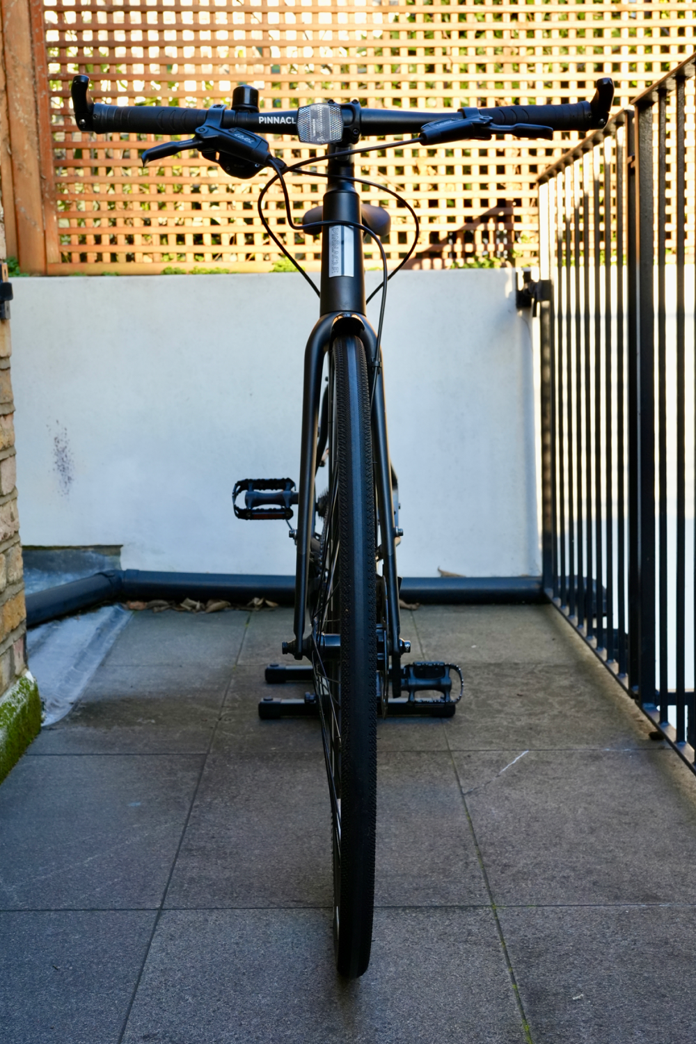 Pinnacle Neon 5 2020