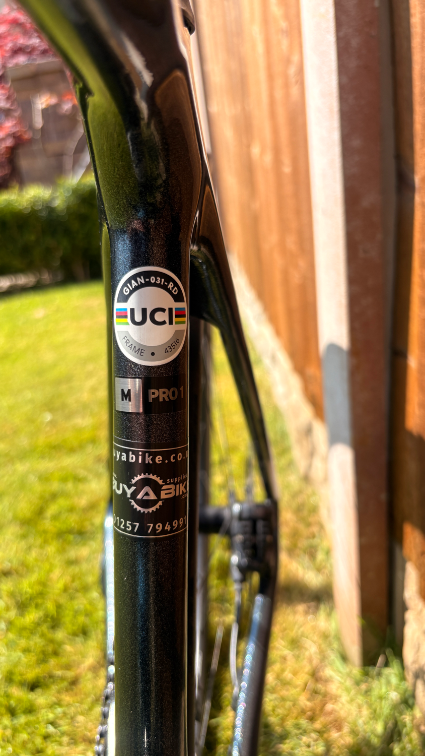 Giant TCR Advanced Pro 1 Disc 2022