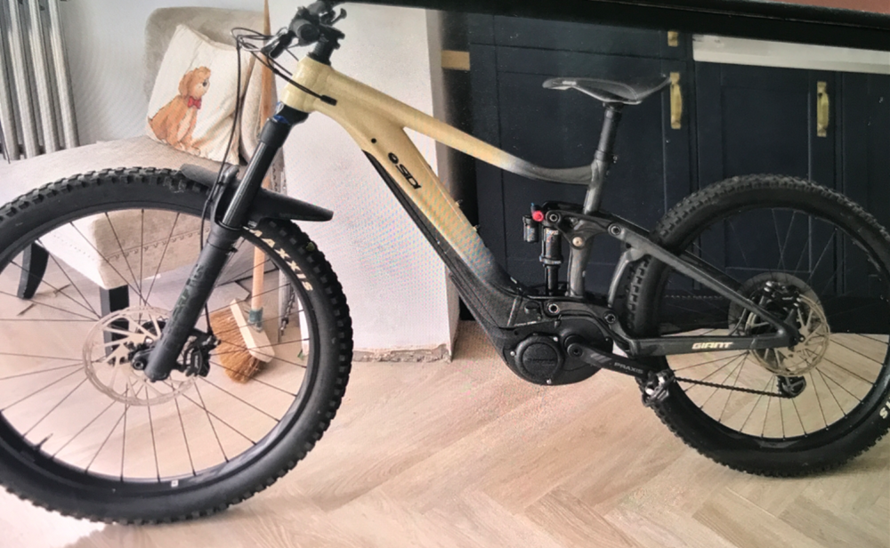 Giant Reign 2 2021
