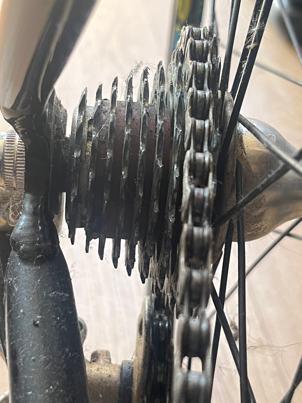 Giant OCR compact road 2014