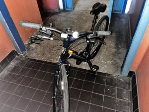 Ridgeback Motion M 2026