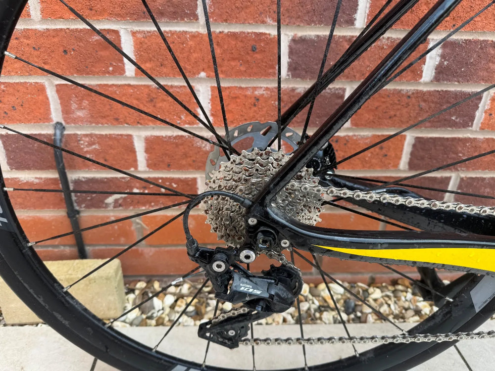 Dolan DR1 Carbon Disc 2020