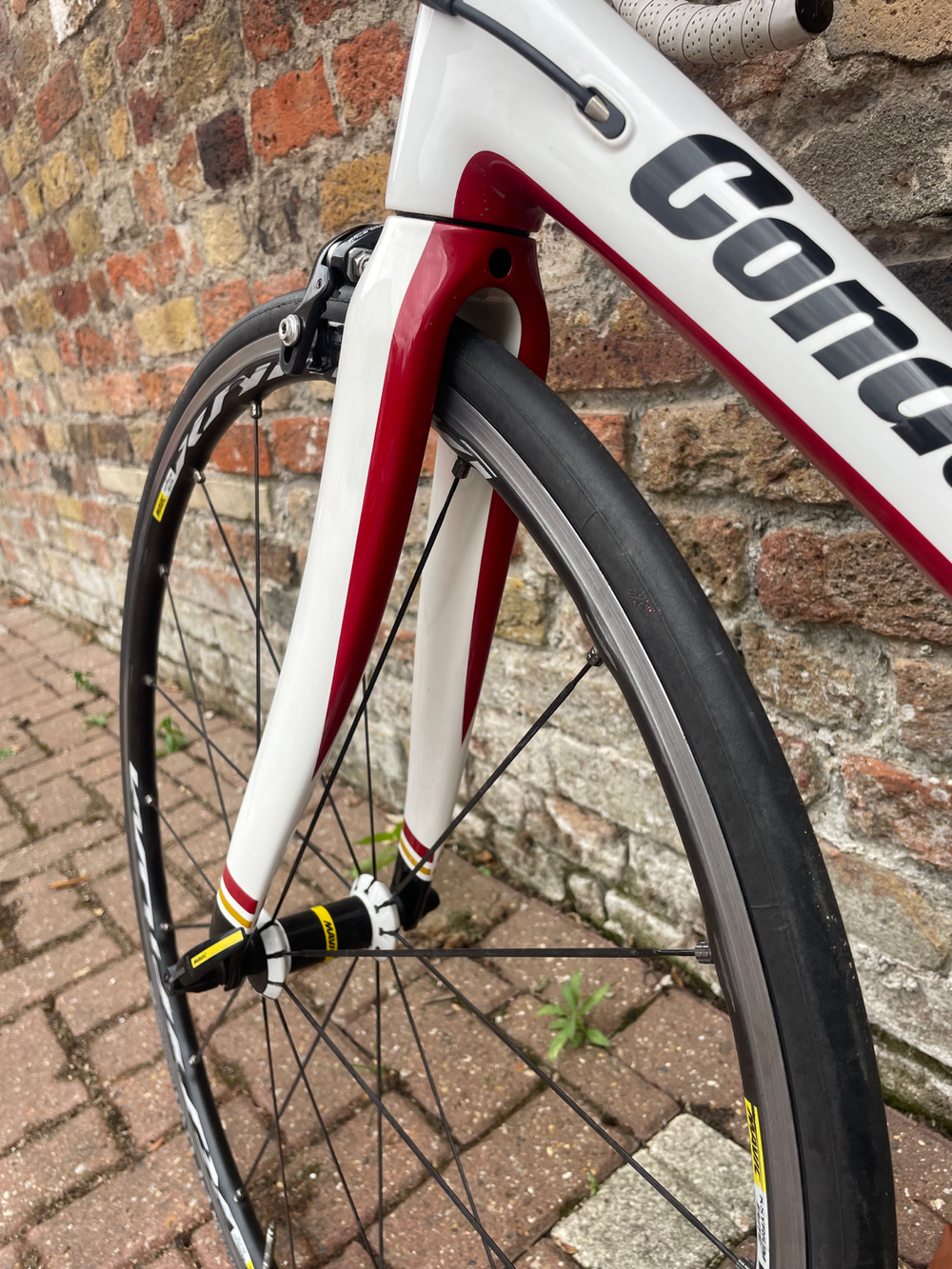 Condor Leggero 2013