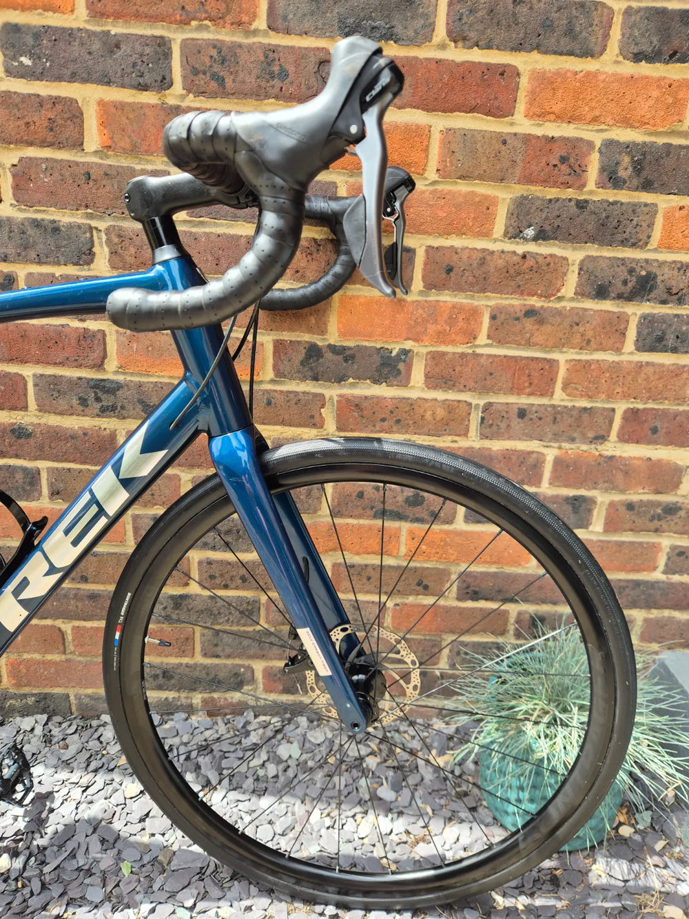 Trek Domane AL 2 Disc 2022