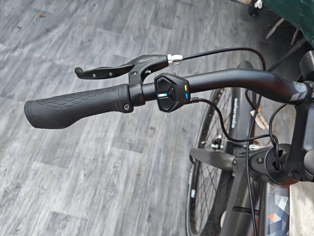 Carrera impel im 2022