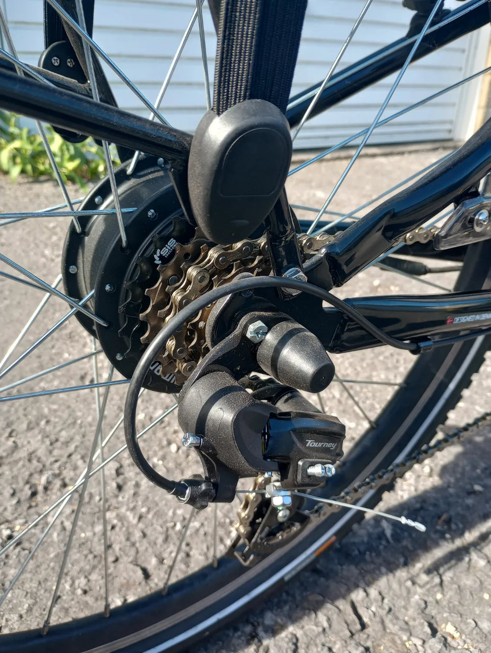 Amcargo Deluxe 2024