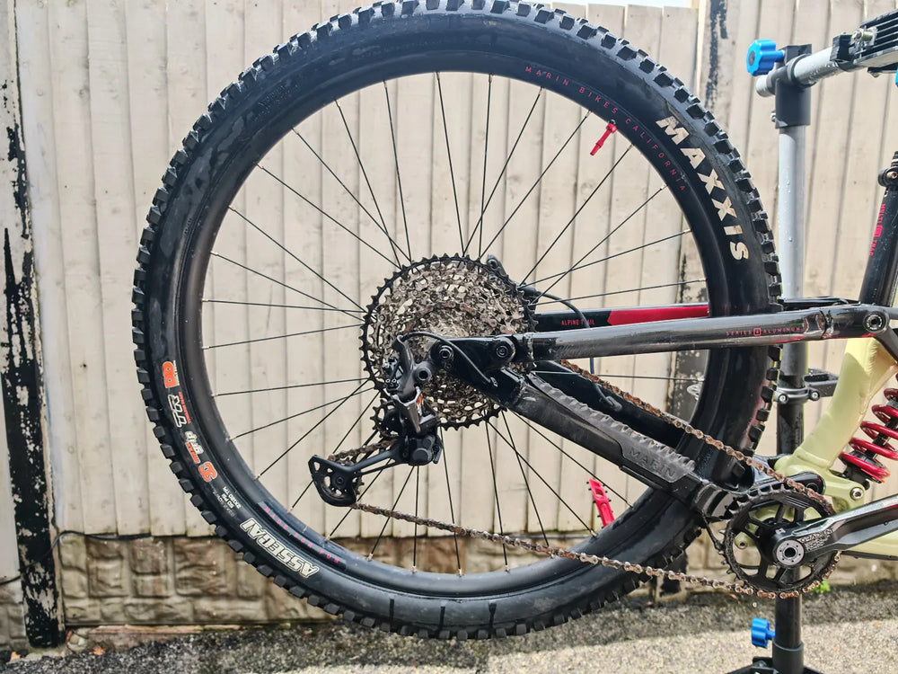 Marin Alpine Trail XR 2022