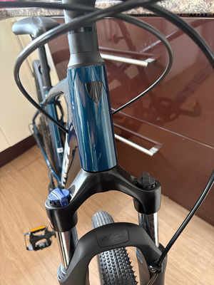 Trek Dual Sport 3