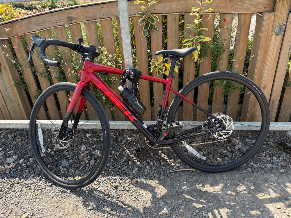 Trek Domane AL 2 Gen 4 2024
