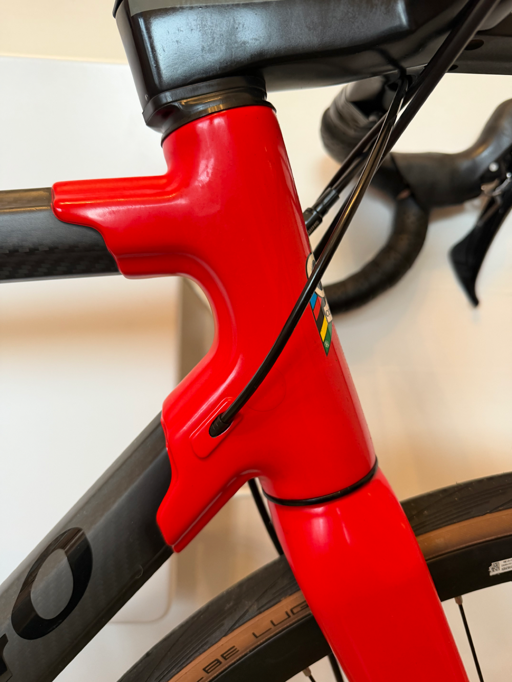 Colnago C60 Disc Frameset 2019