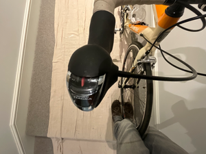 Trek 2.1 2009