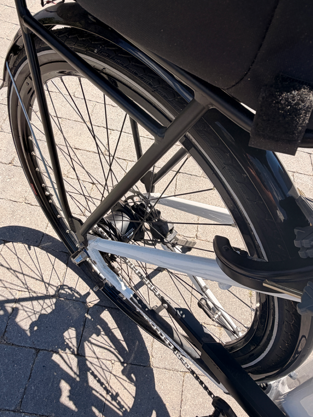 Raleigh Motus - Hub Gear 2026