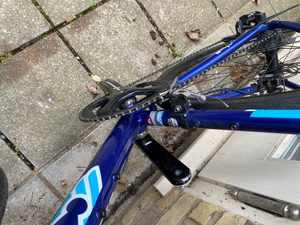 Cinelli Semper Disc 2019