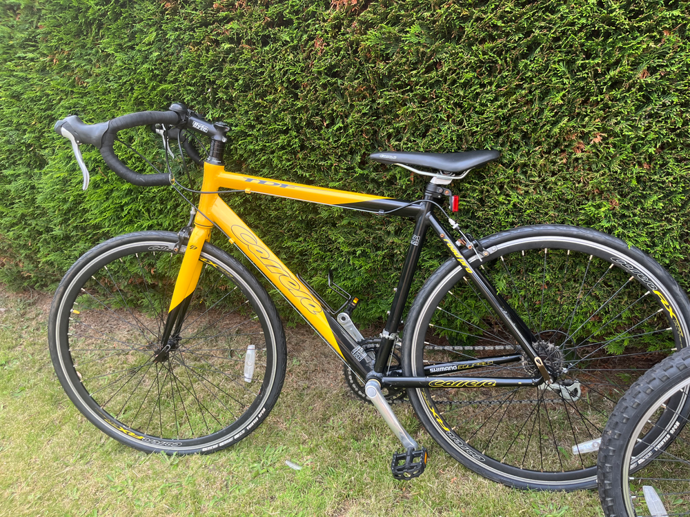 Carrera Tdf 2019