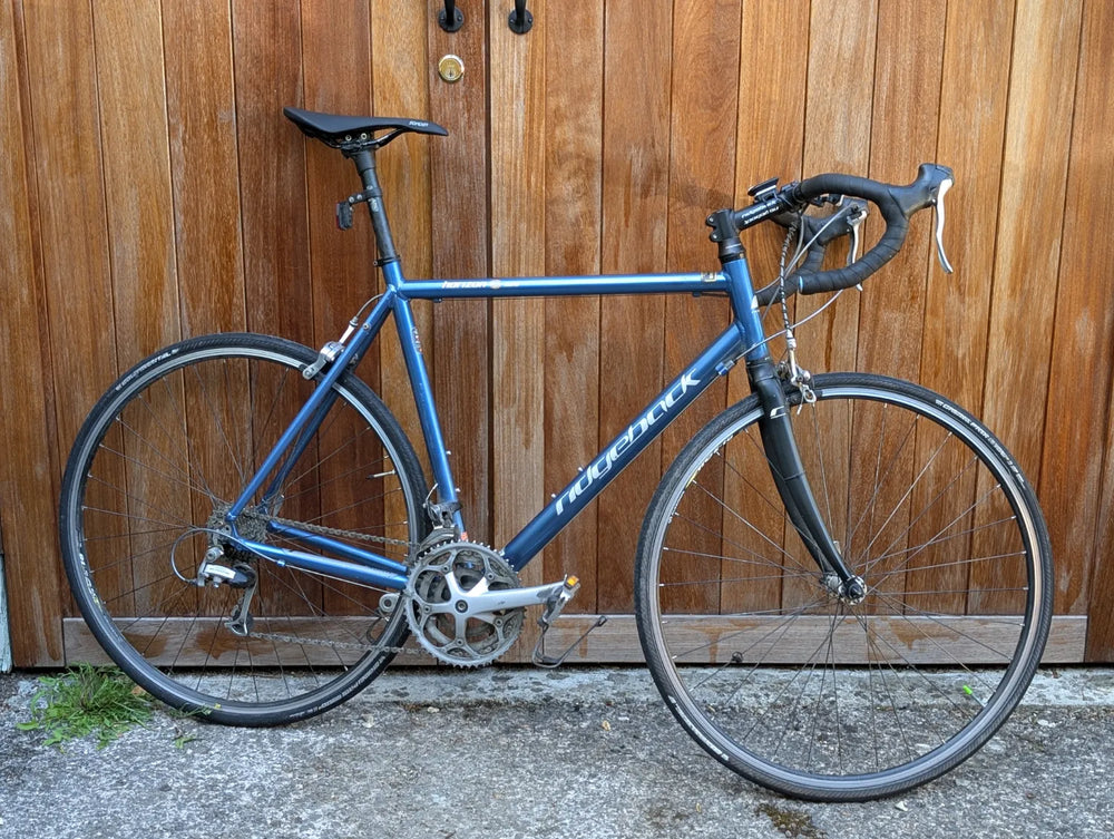 Ridgeback Horizon 2010