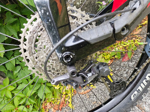 Haibike Allmtn Cf 12 2022