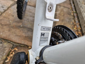 Giant Roam 1 W 2022