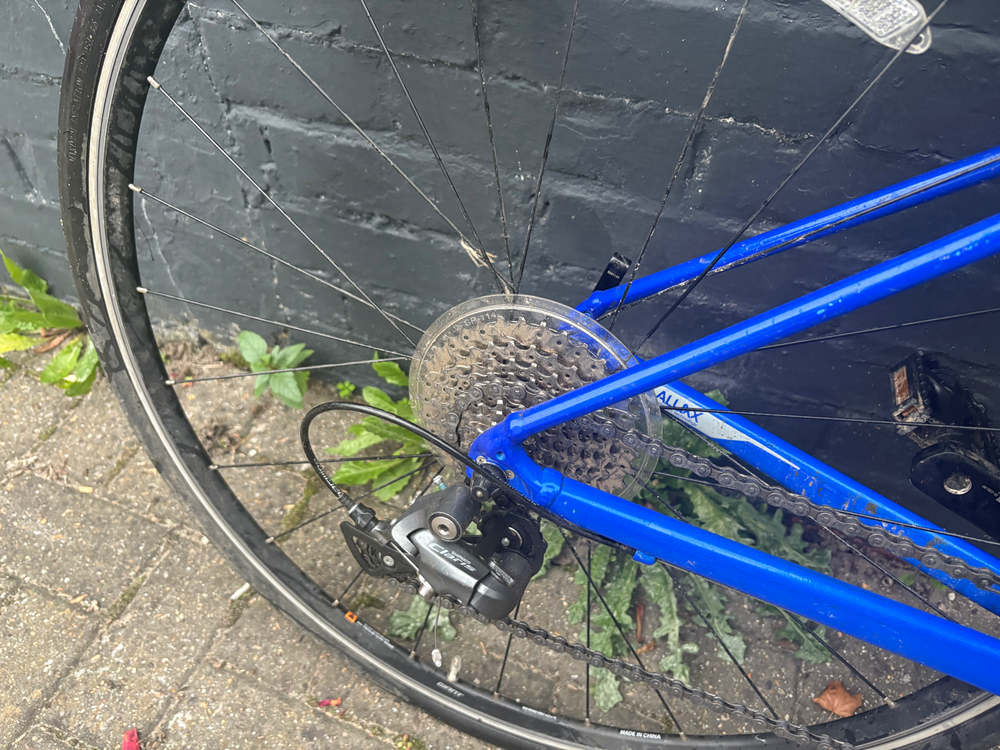 Giant Contend 2 2024