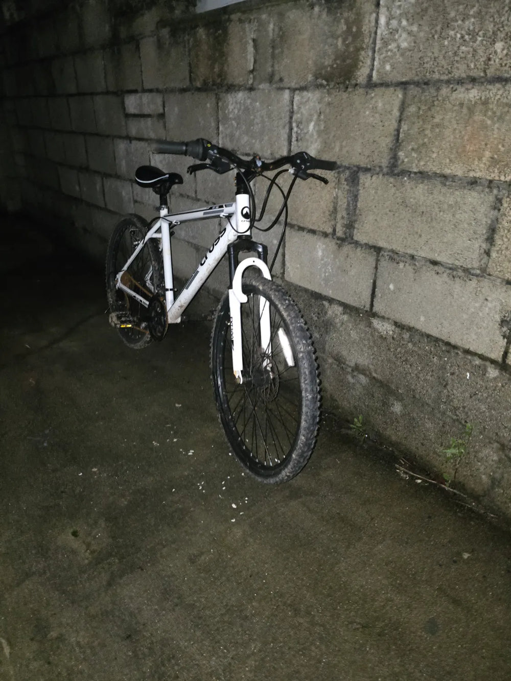 Cross FXT 300 2020