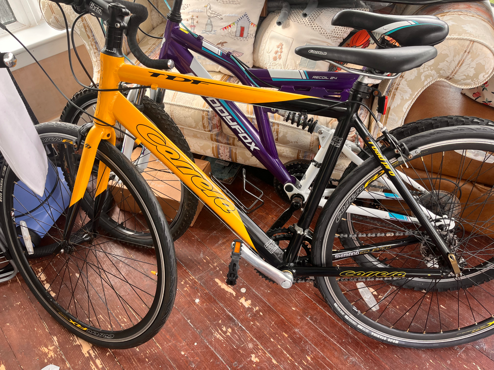 Carrera Tdf 2019