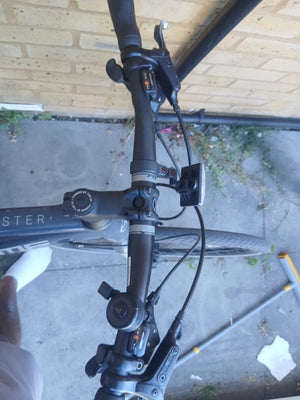 Forme Winster 1 2013