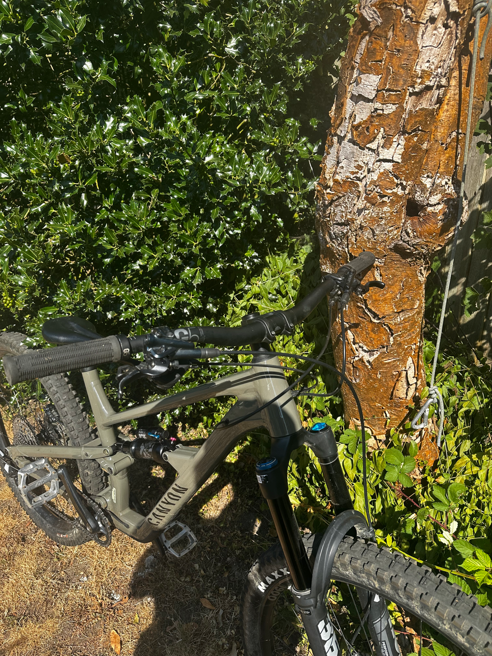Canyon Spectral 29 6 2022