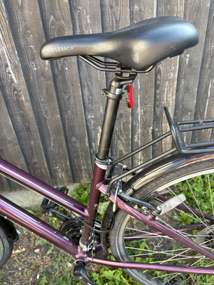 Ridgeback Velocity 2021