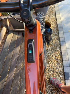 Trek Rail 9.8 GX AXS 2024