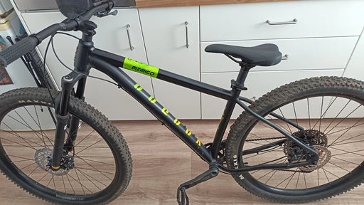 Voodoo Bizango 29 2023