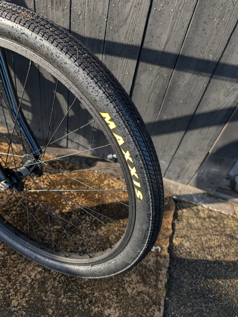 GT Dyno Pro Compe LTD 29 2023