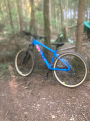 Marin Bobcat Trail 3 27.5 2024