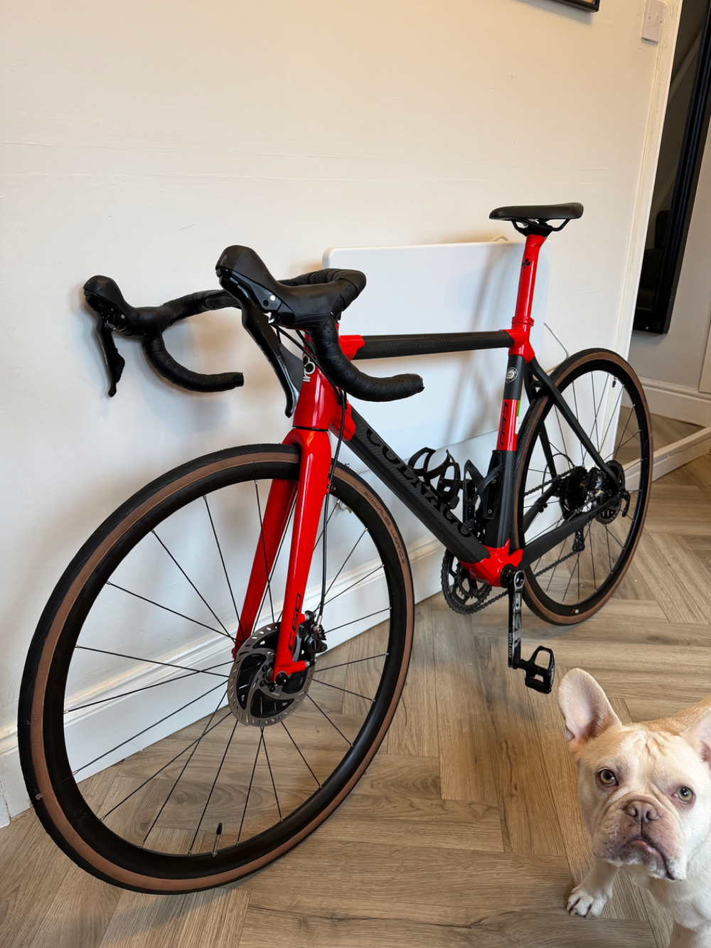 Colnago C60 Disc Frameset 2019