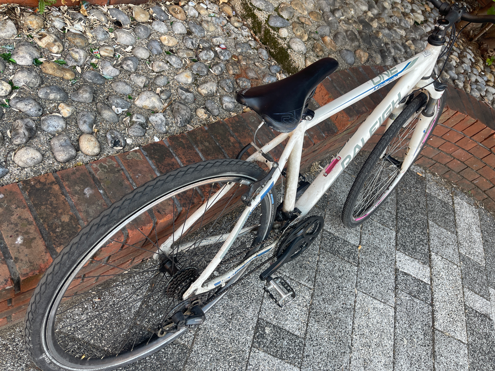 Raleigh Venture iE 2021