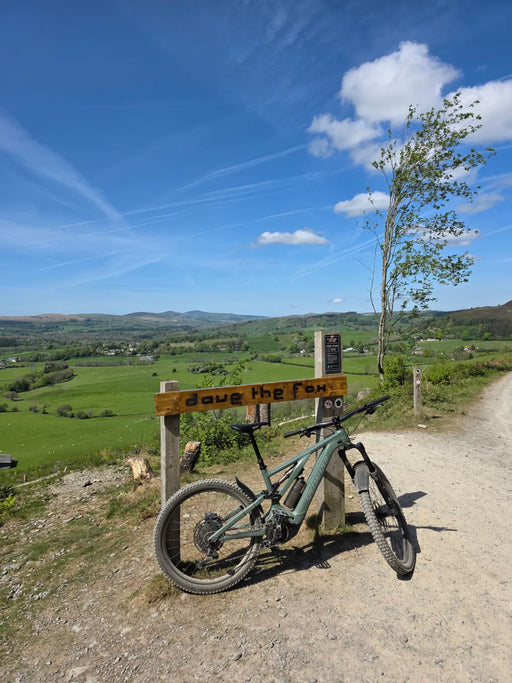 Specialized Levo Comp Alloy 2025