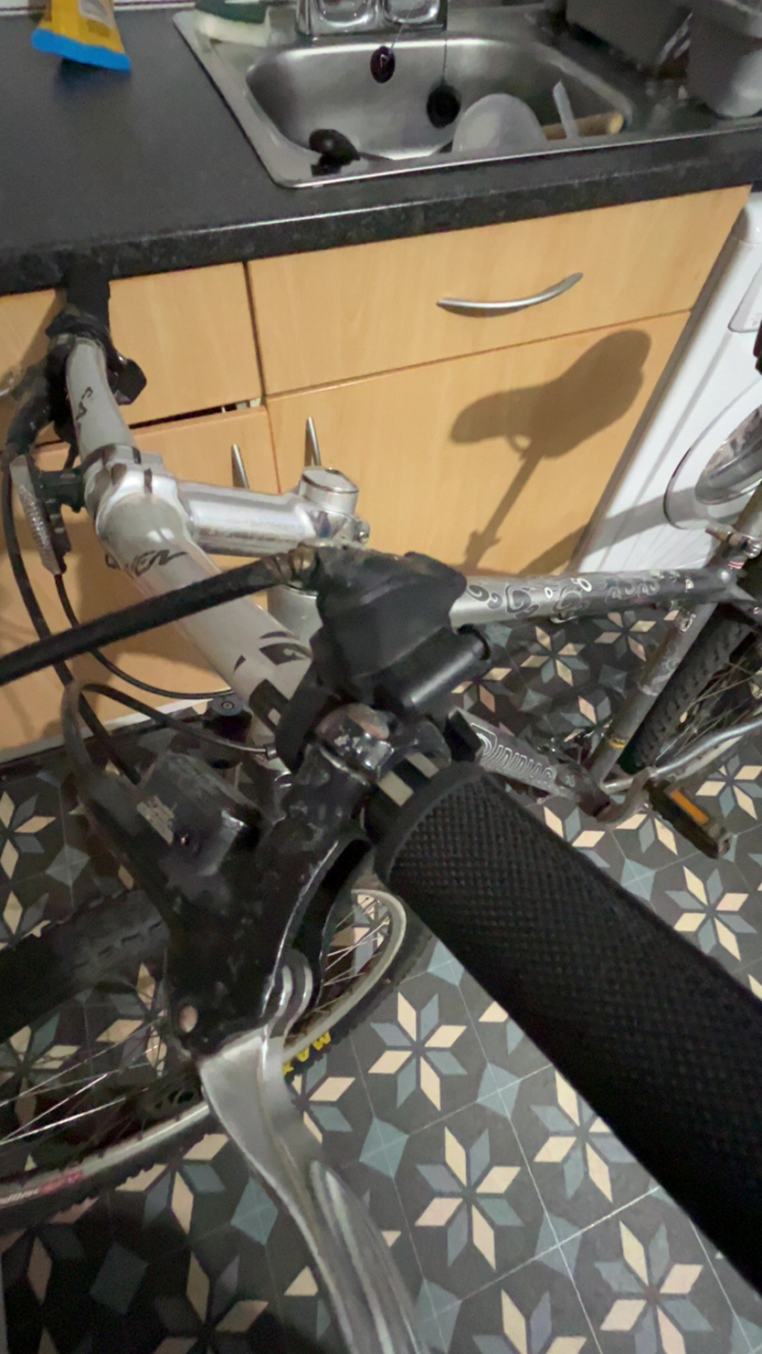 SCOR 2030 Frameset 2024