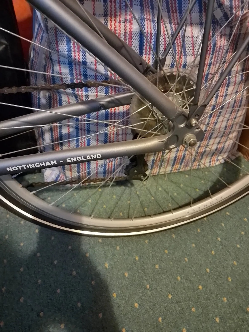 Raligh Pioneer  2024