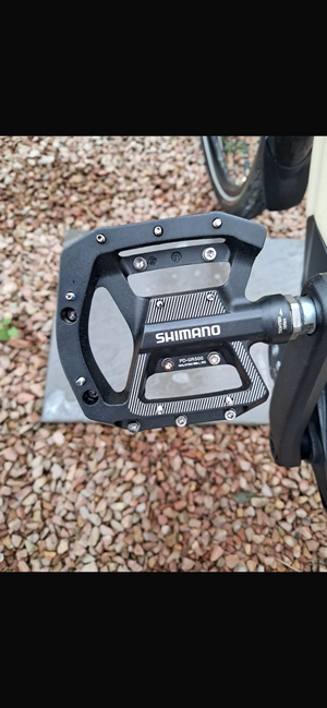 Raleigh Motus GT Lowstep Derailleur 46cm Small 2024