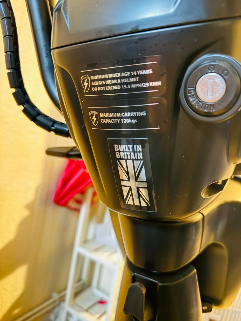 Eskuta Sx250 series 4 cargo 2024