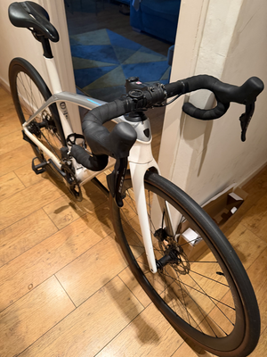 Trek Domane+