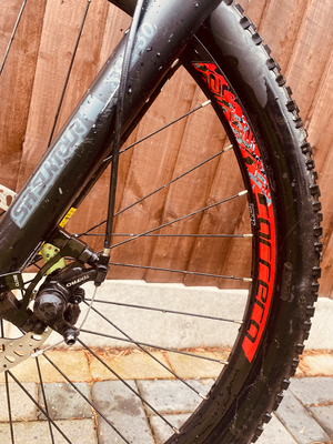 Carrera Vengeance-E Carrera Vengeance E Mens/Boys Electric Mountain Bike Microshift 2.1 - M Frame