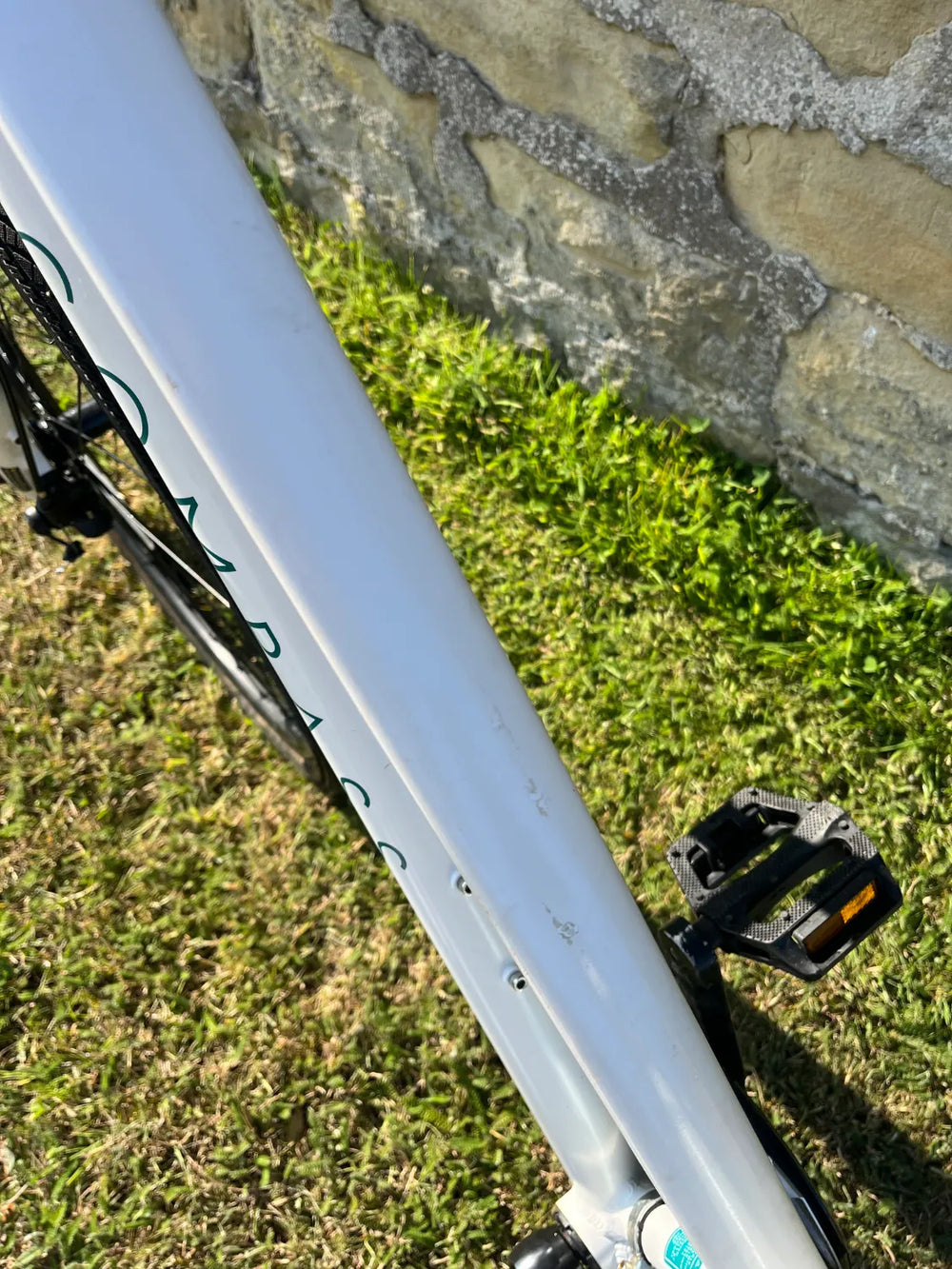 Compass Contour 2024