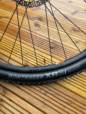 Trek Powerfly 5 2020