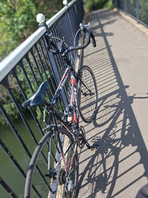 Trek 1.1 2011