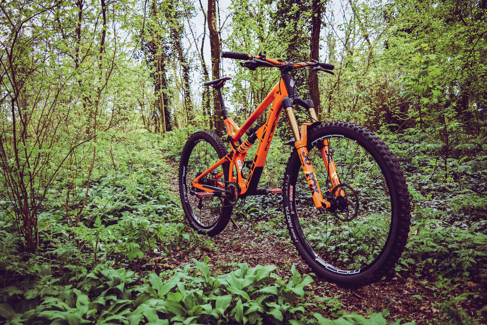 Intense Carbine 29 2018